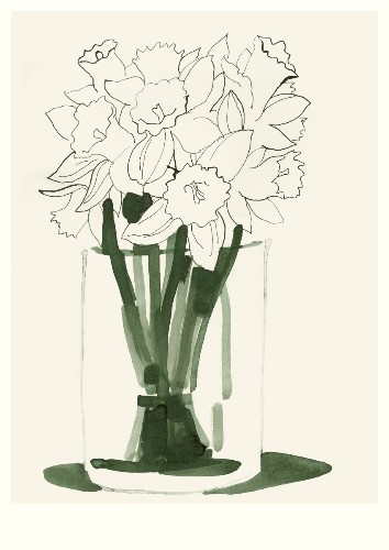 Daffodils (Postkarte, 20 Ex)