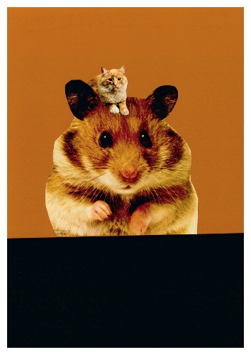 Ohne Titel / Hamster (Postkarte, 20 Ex)