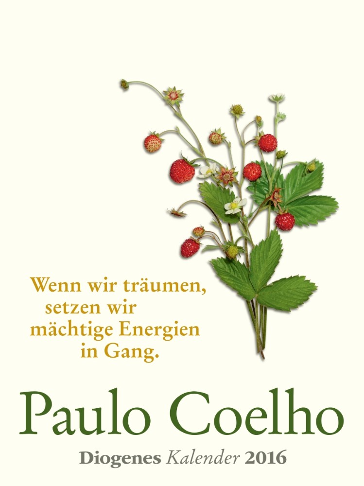 Coelho Wandkalender 2016