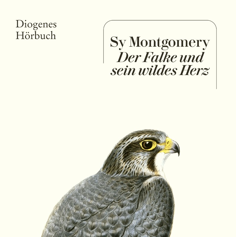 Der Falke und sein wildes Herz