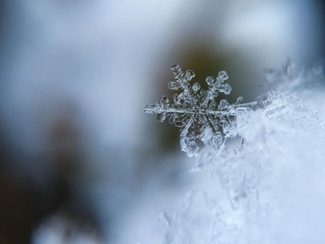 #dryjanuary mit einem Schneetag für Erwachsene
Inspiration von Jardine Libaire & Amanda Eyre Ward