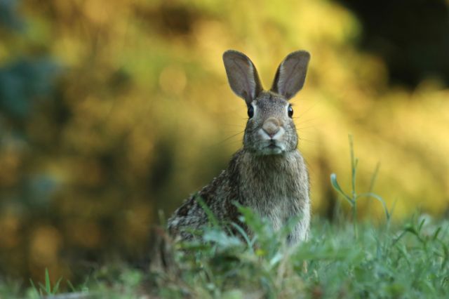 Zu Ostern ein gutes Buch: Geschichten, die Frühlingsgefühle erwecken