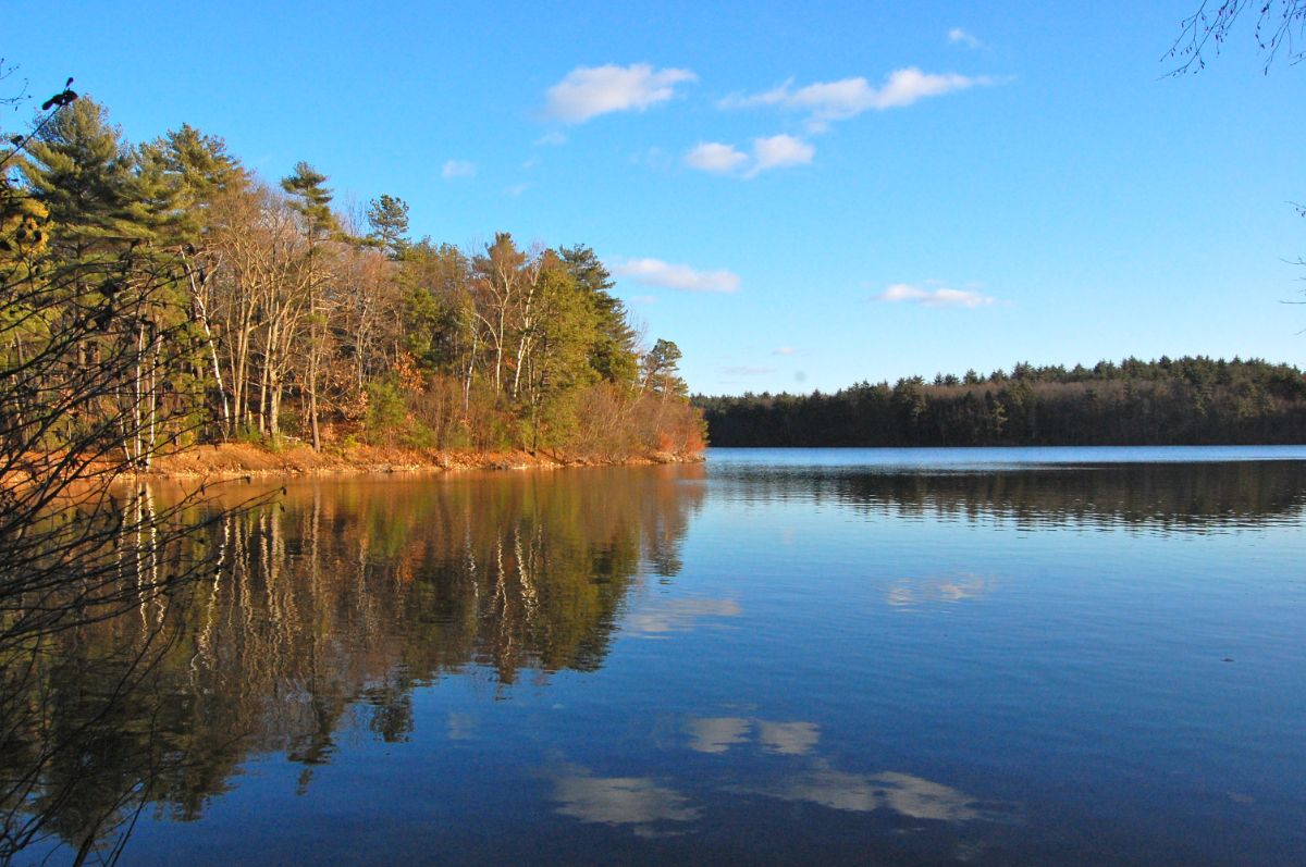 Der Walden Pond bei Concord (Foto: © ptwo from Allahabad, India (985 Uploaded by Ekabhishek) [CC BY 2.0], via Wikimedia Commons)