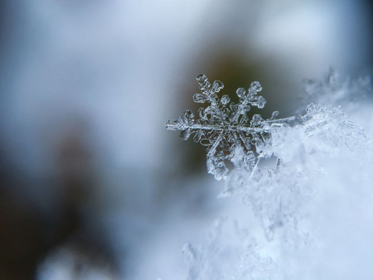 Photo by Aaron Burden on Unsplash Photo by Aaron Burden on Unsplash