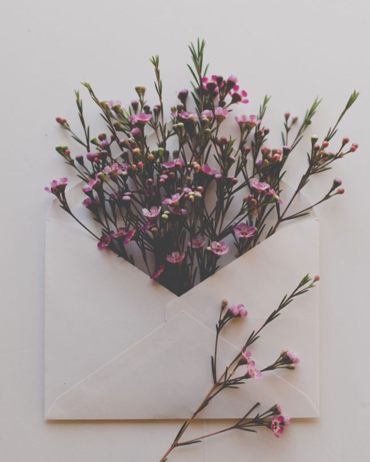 Photo by Sixteen Miles Out on Unsplash Photo by Sixteen Miles Out on Unsplash