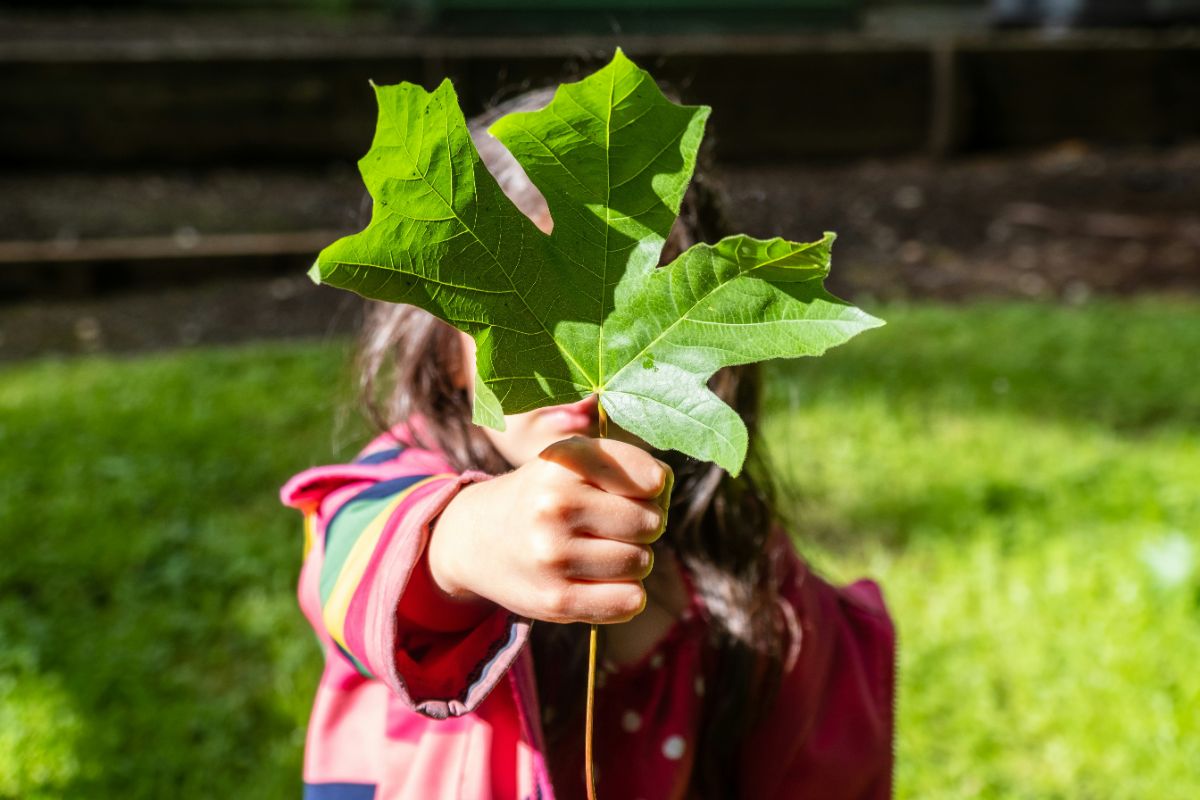 Foto: Alan Rodriguez / Unsplash Foto: Alan Rodriguez / Unsplash
