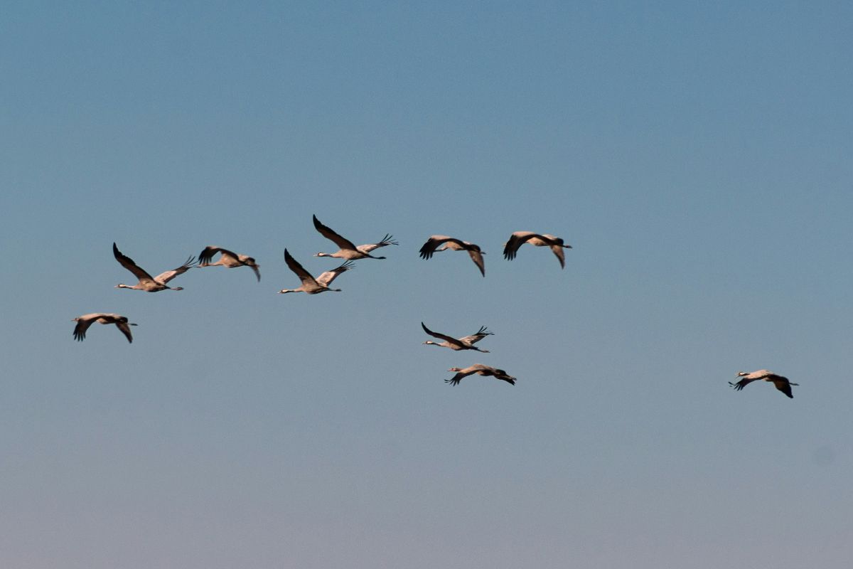 Foto von Mohamed Fsili auf Unsplash Foto von Mohamed Fsili auf Unsplash