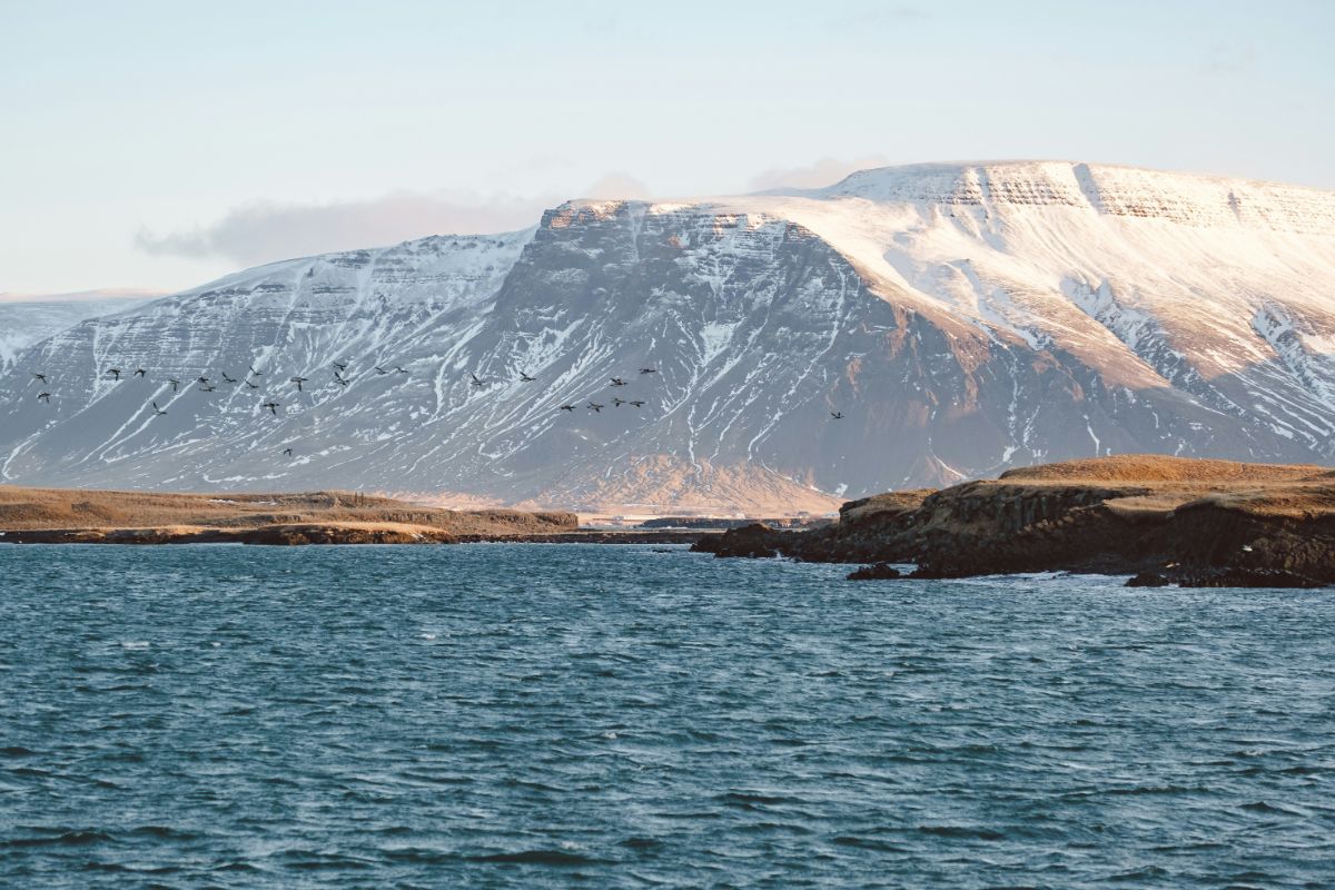 Foto von Yves Cedric Schulze auf Unsplash Foto von Yves Cedric Schulze auf Unsplash