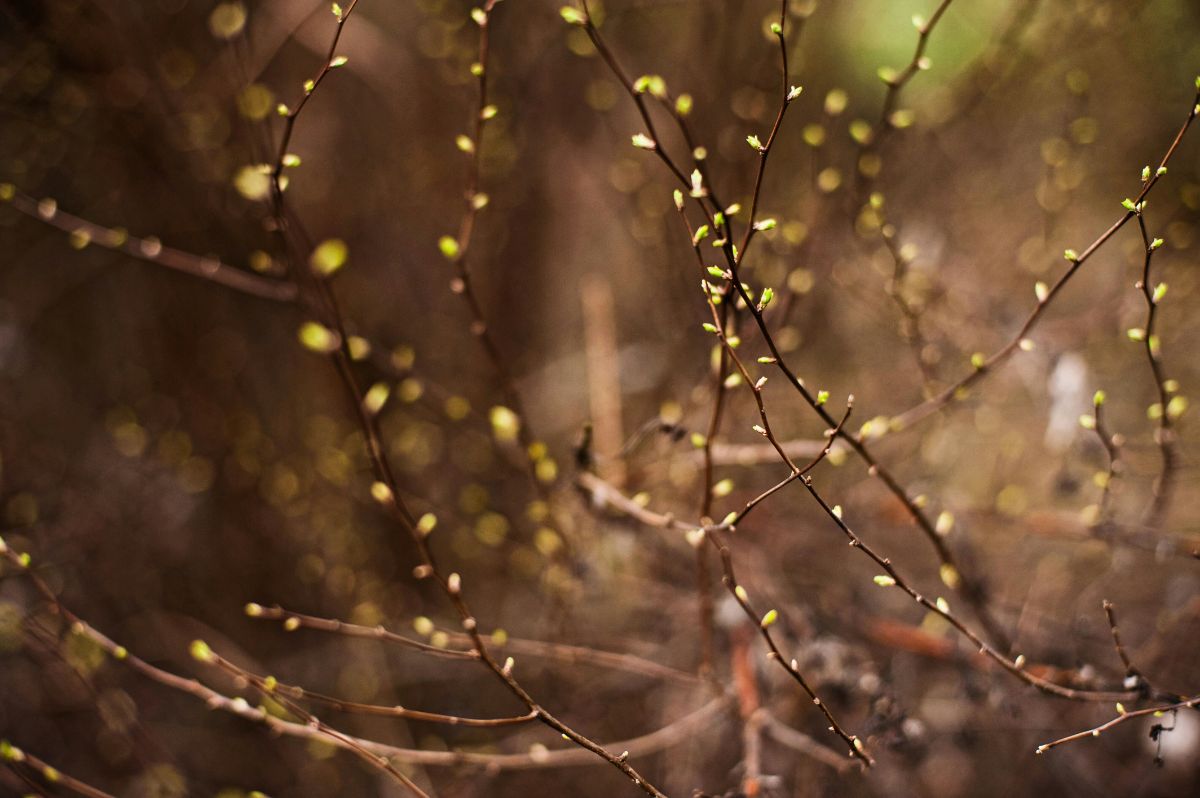Foto von Tom Jur auf Unsplash