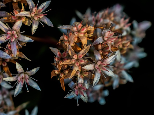 Foto via pixabay.com <p>Foto via <a href="https://pixabay.com/de/wildblumen-blütezeit-natur-blüte-2127921/" target="_blank">pixabay.com</a></p><br/>