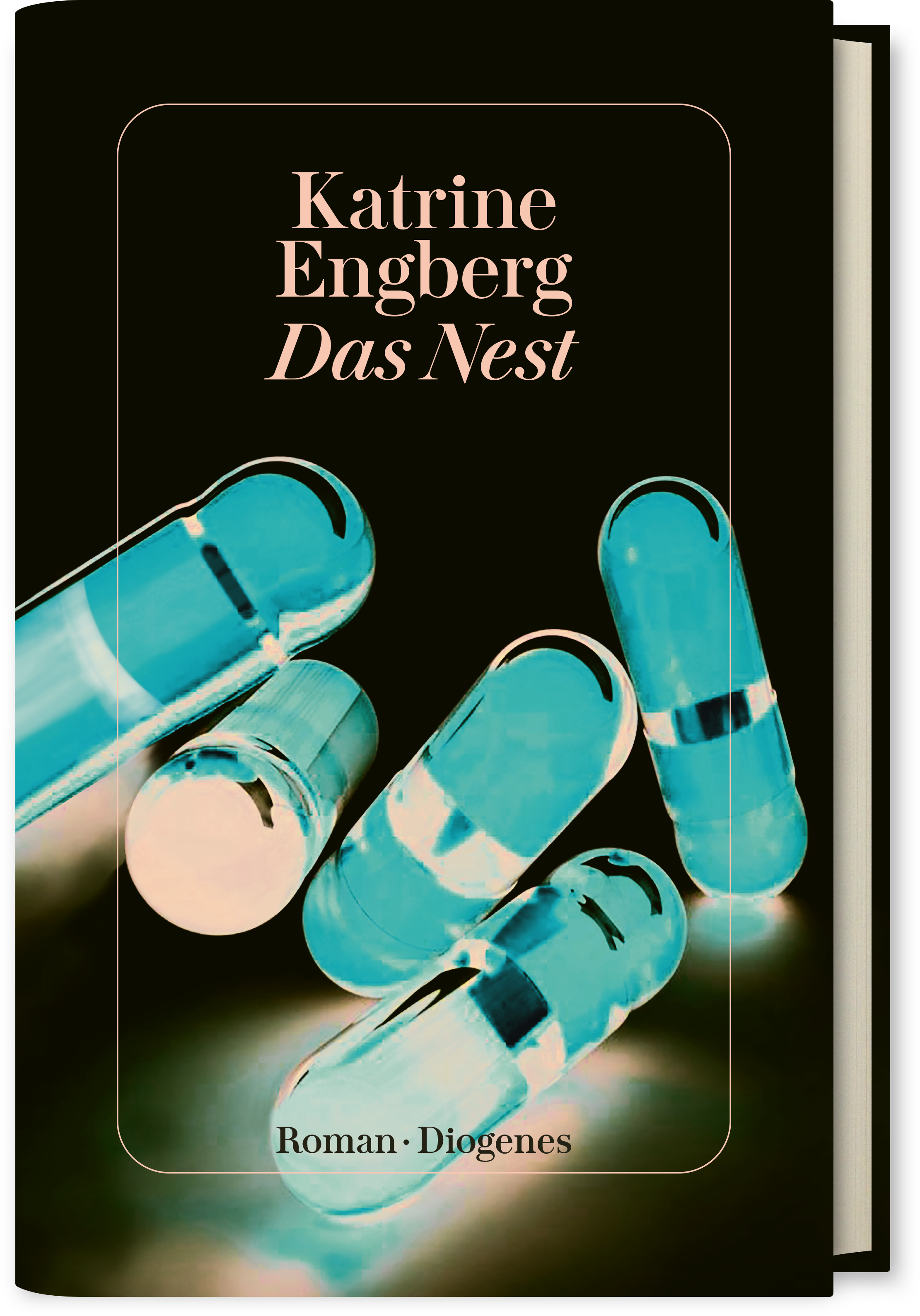 Katrine Engberg Das Nest