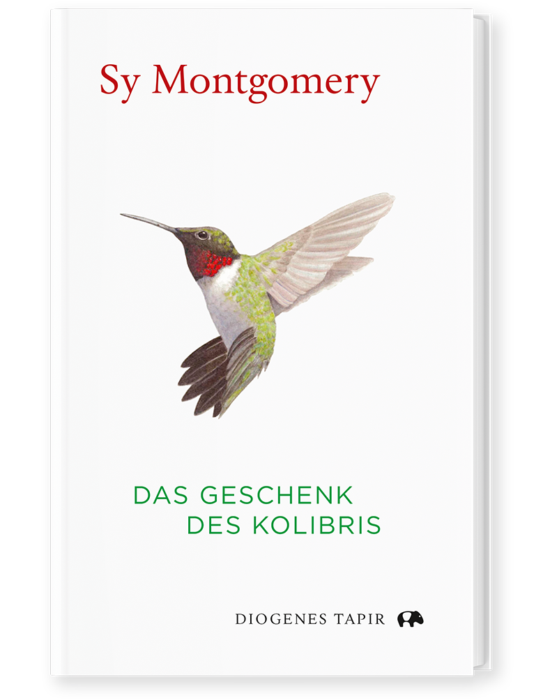 Das Geschenk des Kolibris