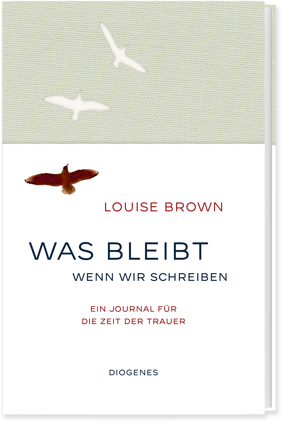 Louise Brown Was bleibt, wenn wir schreiben