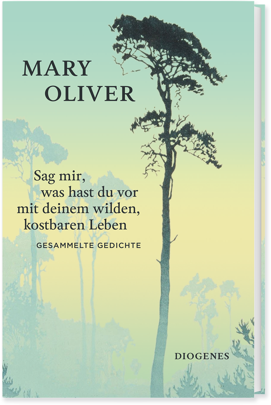 Mary Oliver Sag mir, was hast du vor mit deinem wilden, kostbaren Leben