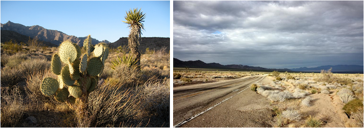 Die Mojave-Wüste (Foto links: © Jon Sullivan, (CC BY-NC 2.0) via Flickr.com, Foto rechts: © Michael Dorausch (CC BY-SA 2.0) via Flickr.com)