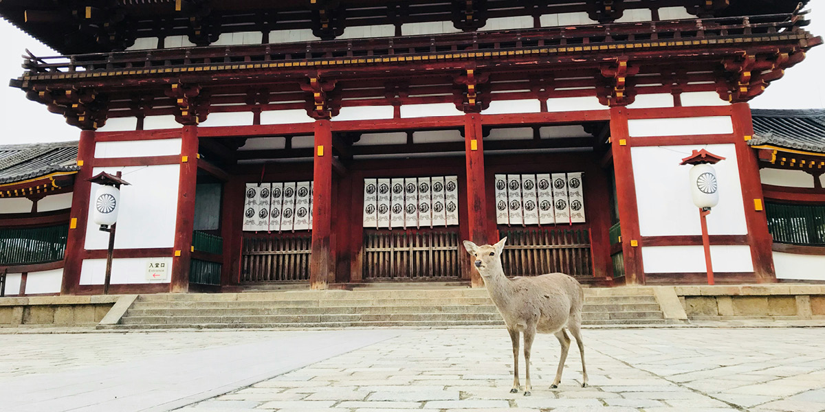 Foto von Nishiyama Aoi auf Unsplash