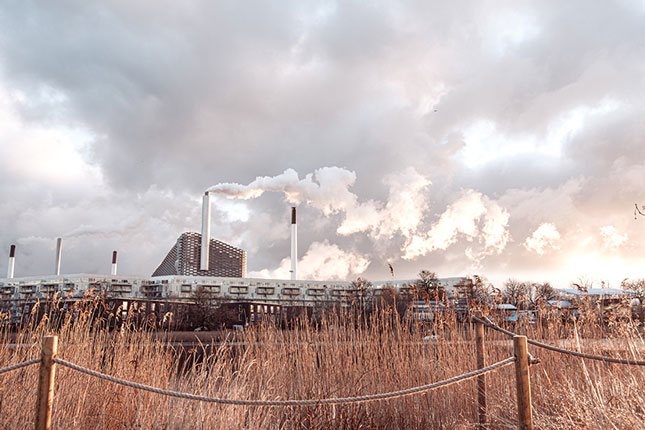 Bild von Thijs Kennis auf unsplash. Bild von Thijs Kennis auf unsplash.