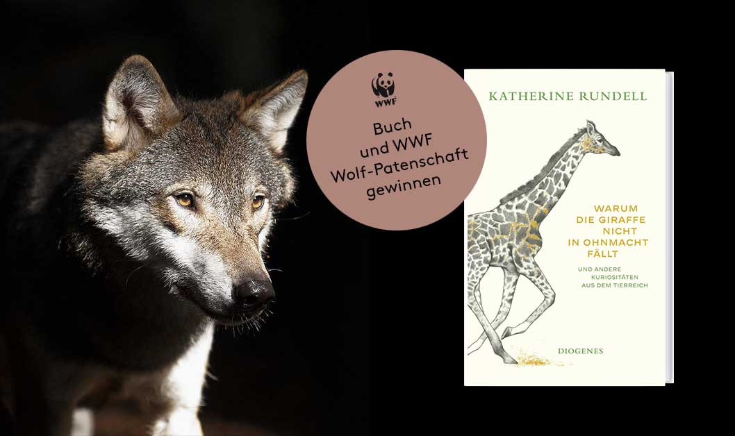 Wolf Patenschaft WWF