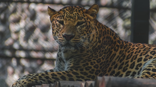Foto von Chirag Saini auf Unsplash