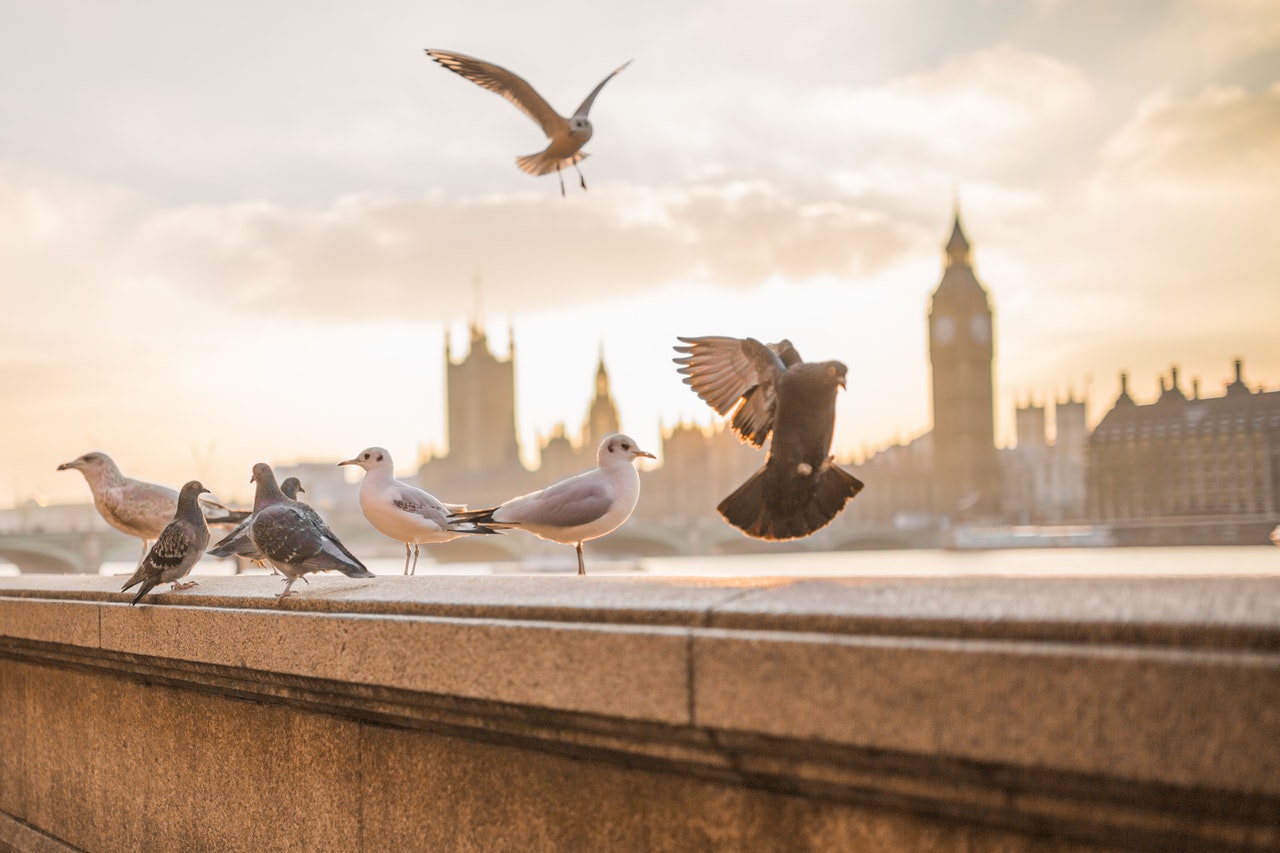 London. Foto von negativespace auf pexels.com