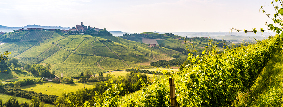 Foto: © Francesco Riccardo Iacomino / Getty Images