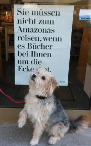 Buchhandelshund Xisca aus dem Lillemors Frauenbuchhandlung in München ©Ursula Naubauer