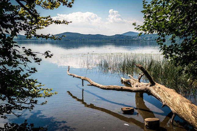 Laacher See. Bild von Thomas B. auf Pixabay